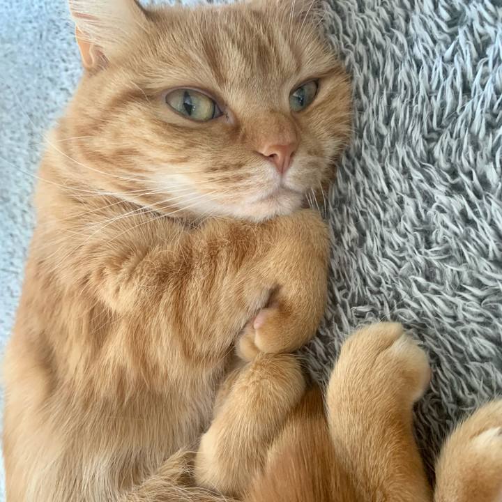 8ebfc200 95b1 4358 928a c44e7a203c2b 1650582050386