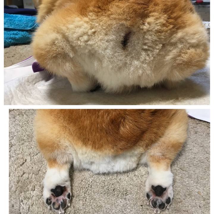 8ebfc712 3198 4c98 94b8 f46b8130d6bf 1563928858891