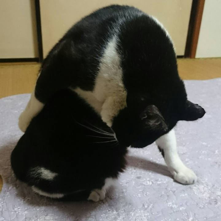 8ebfd7ae db8c 4571 ade1 09644188cd3d 1513297414368