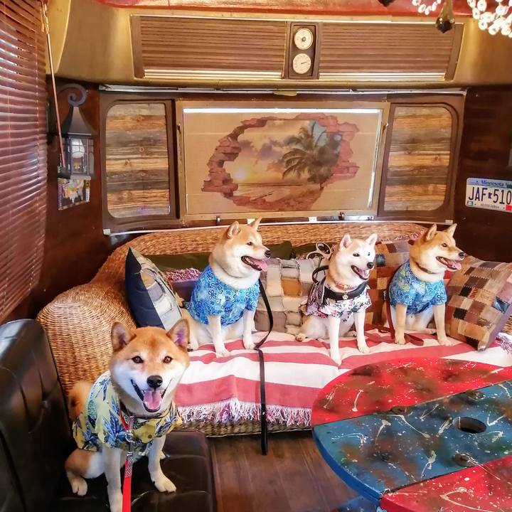 8ebffc50 c854 42d0 a785 3d55a2de879d 1627195283895