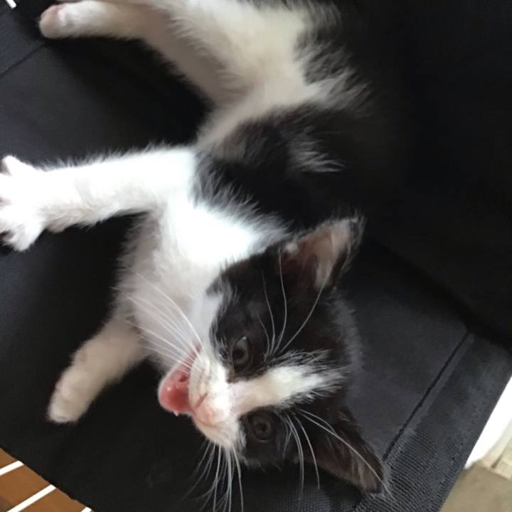 8ec06f1b 63f4 4871 a2f3 708f3db68bd4 1622788168032