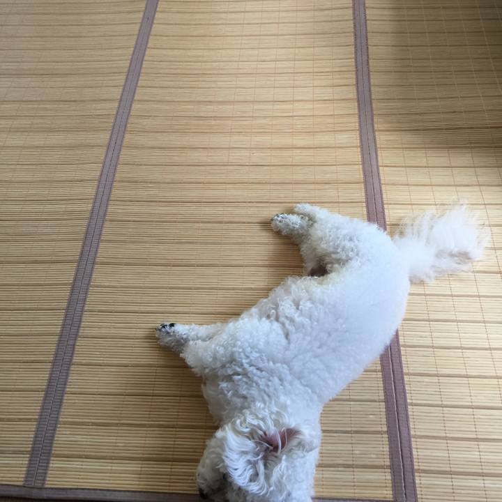 8ec08540 b6cb 4b5b a153 b7c4b5cbb12c 1534029599647