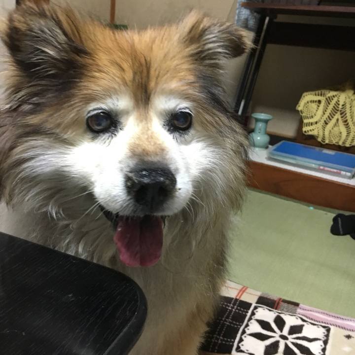 8ec0976b e6df 462d 9bb7 d2876a0bbb17 1599223052608