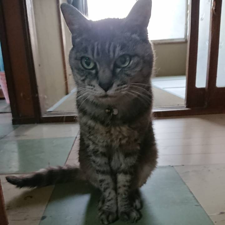 8ec09871 e52e 4152 bc70 da897412c131 1570599939199