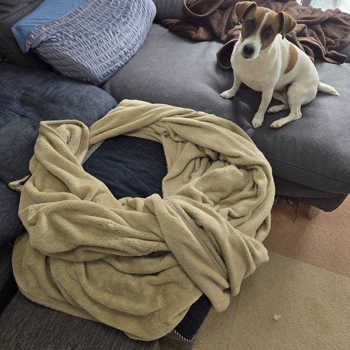 8ec1255b 38a8 45c6 8e91 5a769402f946 1763562679335