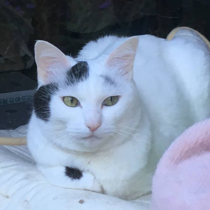 8ec164a2 3832 48b8 bee4 8a4ecf98b169 1562210428427