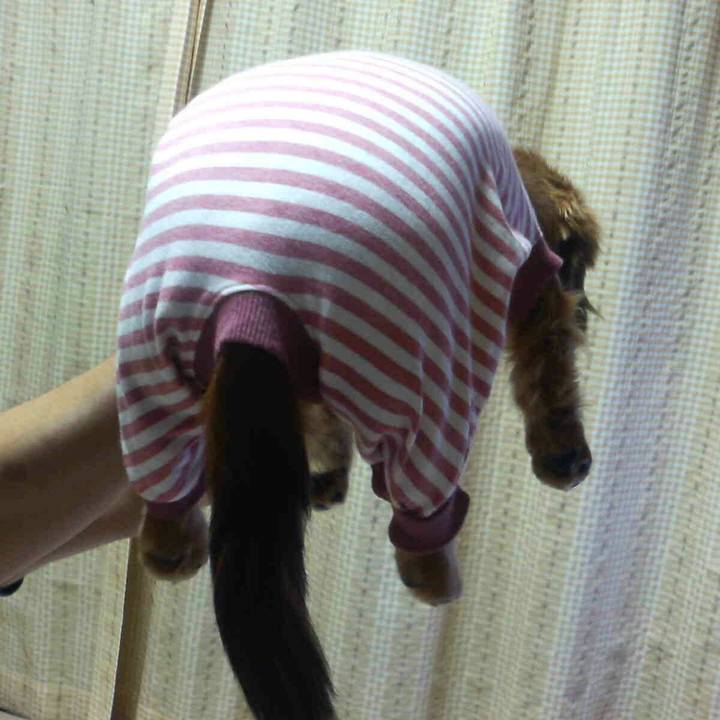 8ec1e3d8 6e7b 45d3 945f 4a694de42431 1527173633123