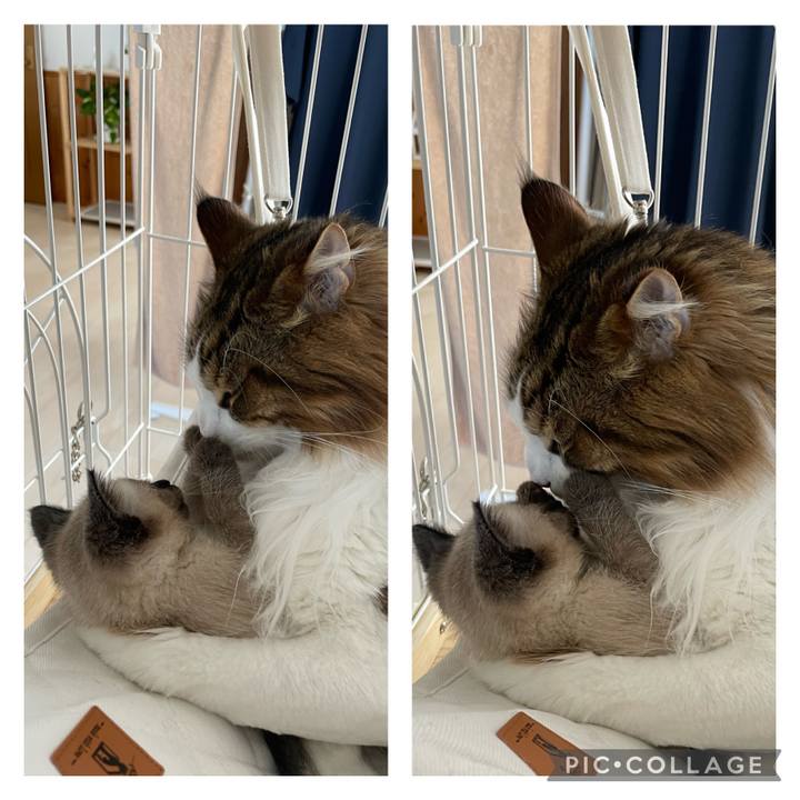 8ec200cb 81f5 42dd bee9 b5f3aa78b78a 1687299254537