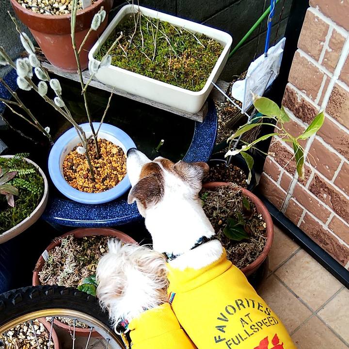 8ec20990 43d3 4653 b99a 1d04f9639c2b 1551579773775