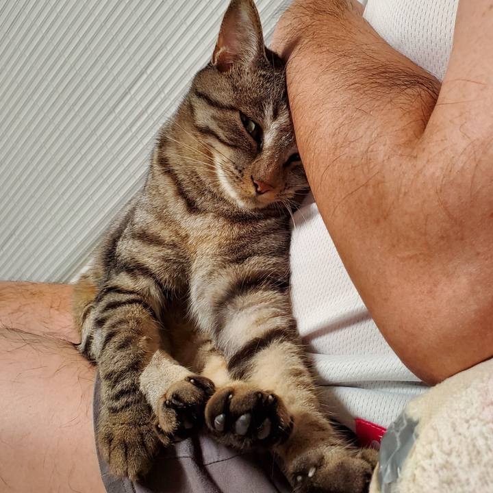 8ec23797 4c18 4da0 9cf2 4d0dcc2fccd1 1696342326323