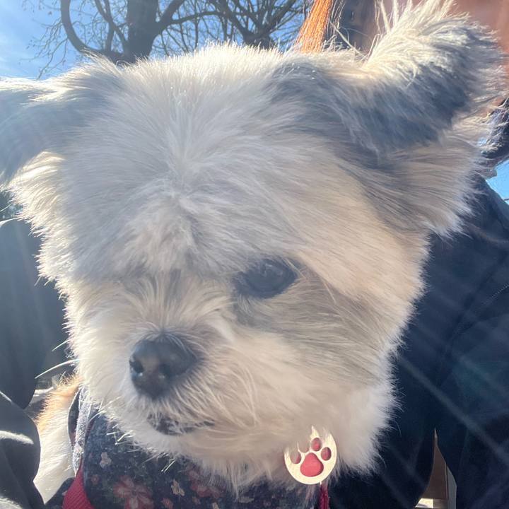 8ec2cdbb f655 44da 8e30 bd9236bddb56 1736839744977