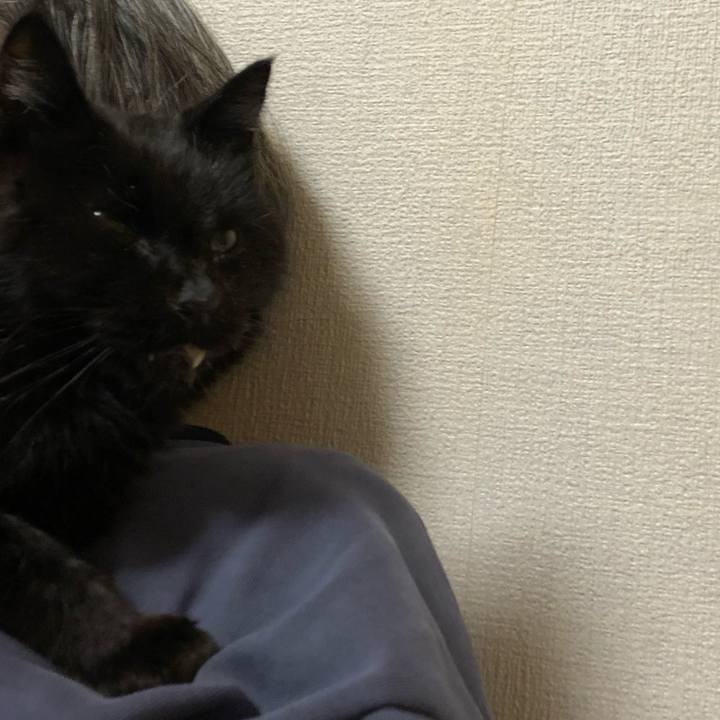 8ec2ce6f d5e9 4d2e 959d 1c484dbfde04 1647459039466