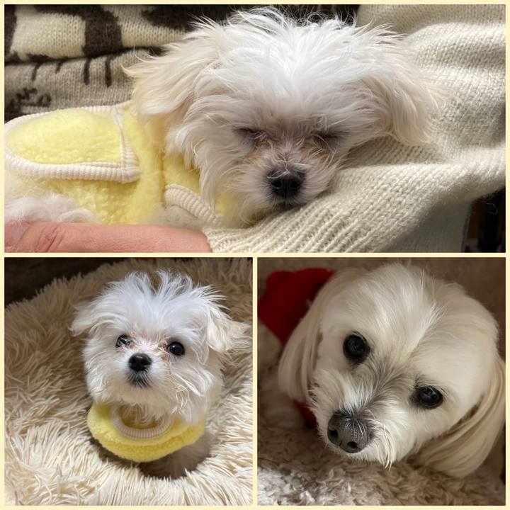 8ec2e034 690d 4503 a9c1 5dc61e07c256 1703070837431