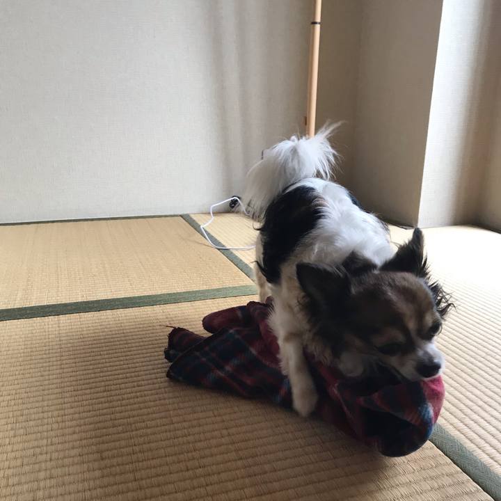 8ec2feab 0079 4409 aab4 97c33a7a4797 1559269058590