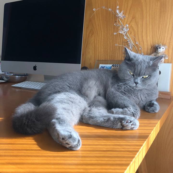 8ec31a2f 2d73 4828 8ae1 95d97f0b15f2 1579404500702