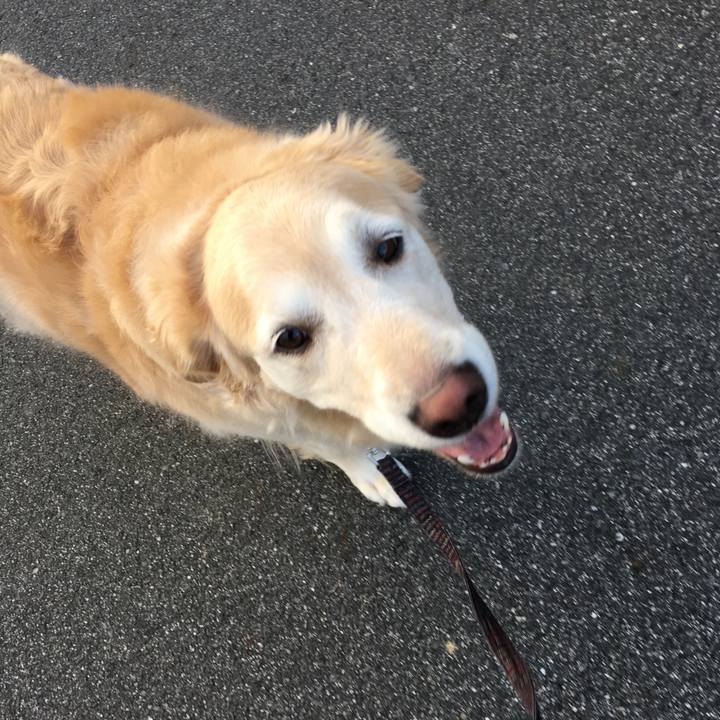 8ec325a2 04ef 43c5 b3c3 1156a6f68036 1563971761458