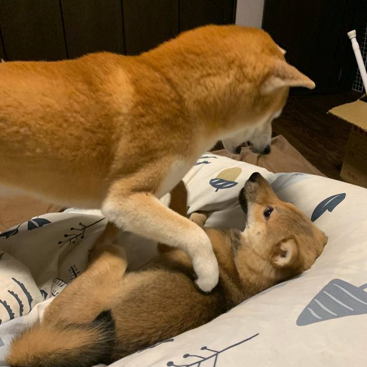 8ec3356d e5f5 4418 b21f d18f082faeef 1621301062274