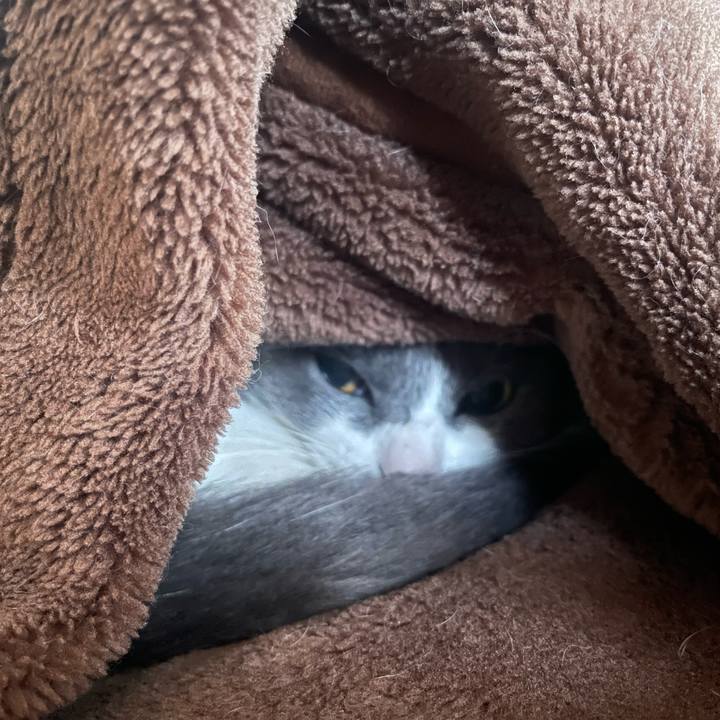 8ec374e1 cfdf 4fd4 bb13 d3e77e948401 1669617492374