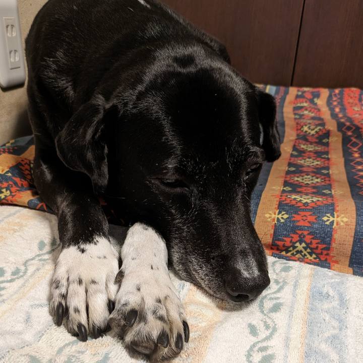 8ec38edb 186c 463a 98c0 c4a02de02054 1714992567335