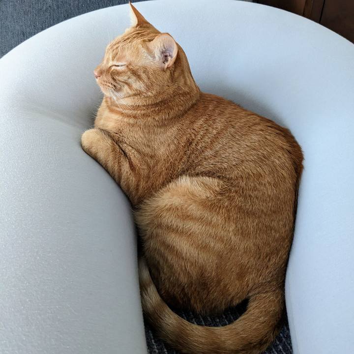 8ec39809 8d8e 4317 85e8 19b1d6a7877c 1671838770781