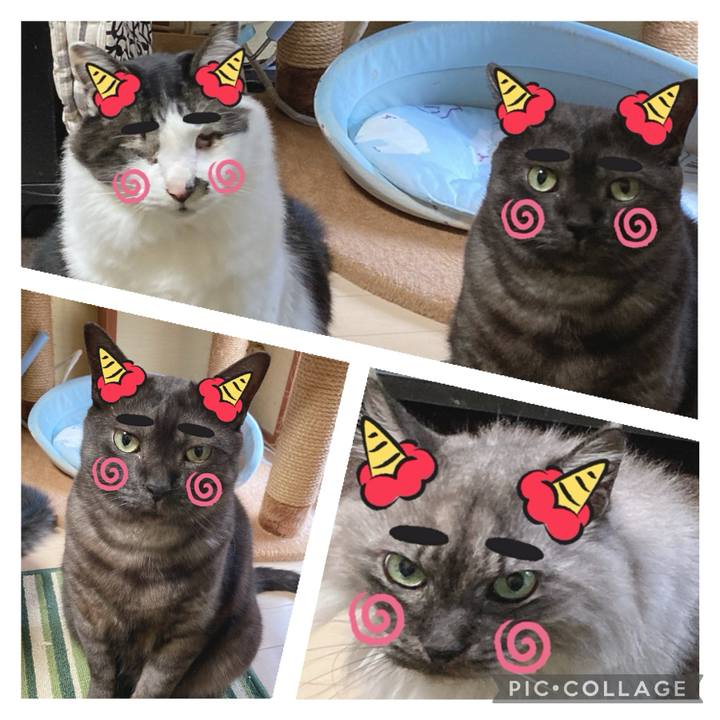 8ec3ad7b 75af 4ce7 8fd0 2189d86a5f95 1706920931035