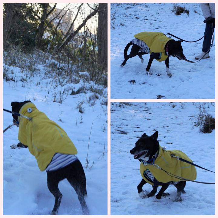 8ec3b14e 6614 42de 956f b1747f97bc80 1770596931380