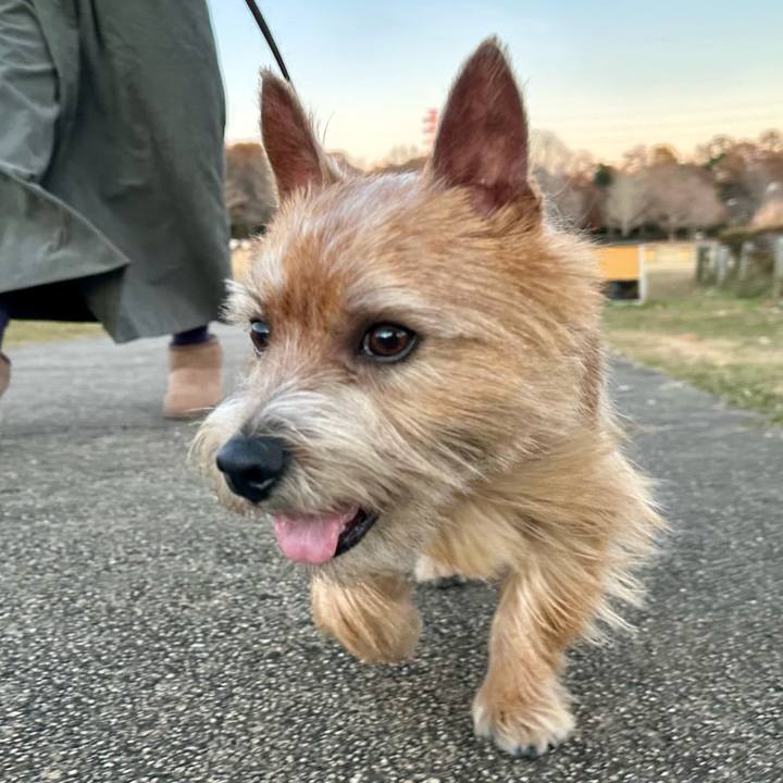 8ec3b9ff 9298 431b 9ffe 37823ef6376e 1733664326739