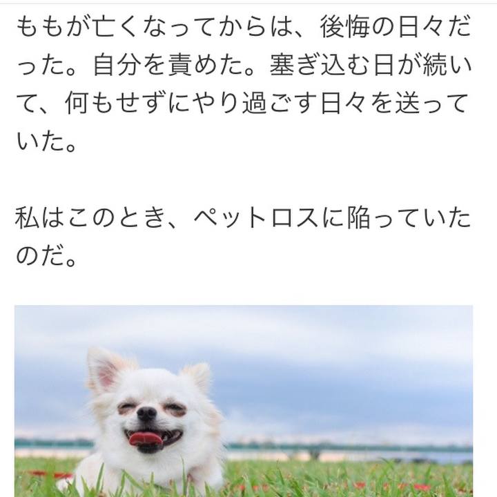 8ec3efcd 2139 47fb 81b4 5d41aa1a342d 1522427032661