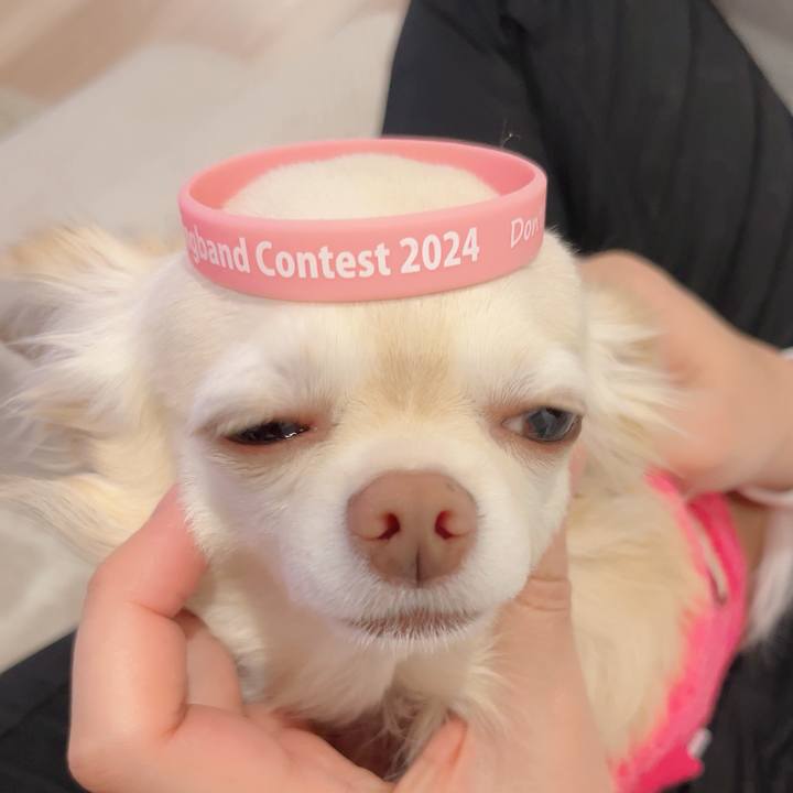 8ec3ffd5 58a2 4378 86b1 5d5064c412be 1731243398502