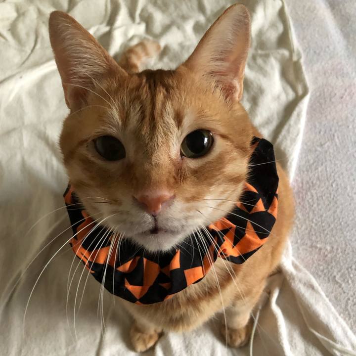 8ec407af 09b4 44be 96cc 560dcd8bdfa5 1572514426649