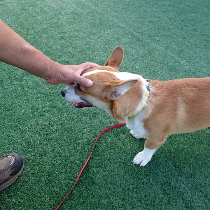 8ec458d8 51e8 417d ad3c d6cb1fe37c4f 1568448436291