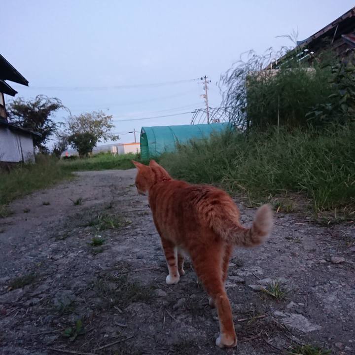 8ec4788d 08c1 4f27 a678 a9c5cdd15bb6 1600506282282