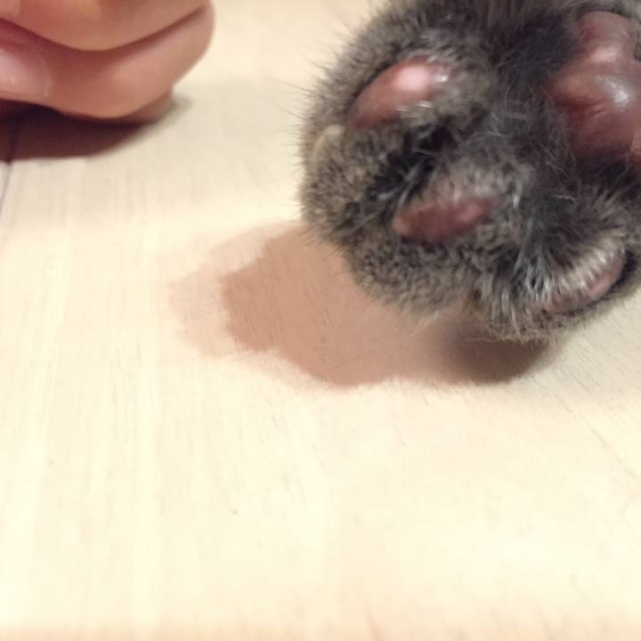 8ec49229 34b2 4b9f 8a11 acb7a25deca3 1568762784187