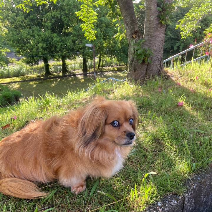 8ec4ad18 224b 4039 9081 16b9312c9aa0 1622844739832