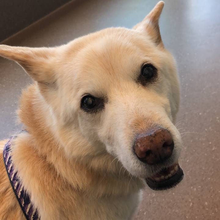 8ec4c103 b20d 4e1a 9356 7db47c2169ac 1671787822282