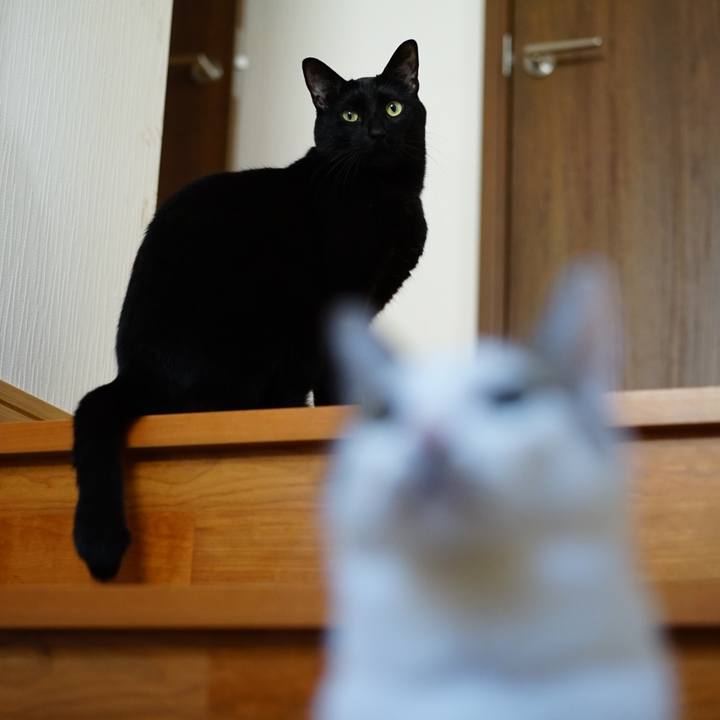 8ec4e667 f6f1 4222 b7a2 188fbf494a18 1554248946874