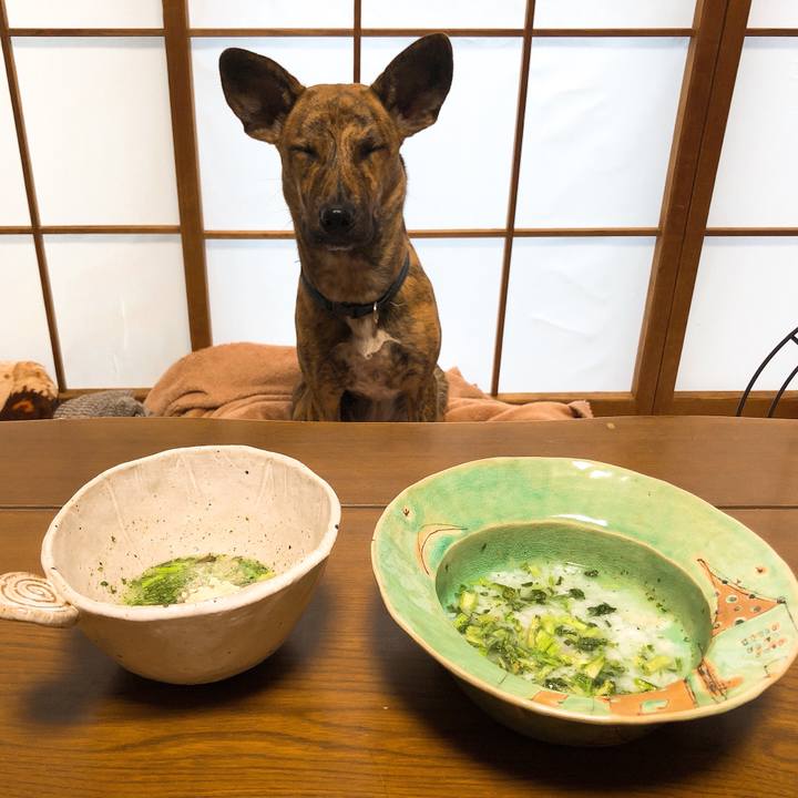 8ec4eed6 24e1 4efc b5de fcd193f9cc00 1578394129829