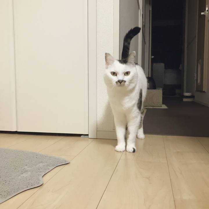 8ec4f7cc 3fae 4ebf af69 214a5fc905e0 1539394959025