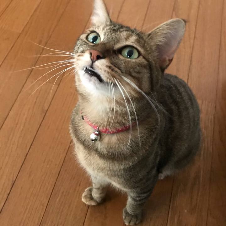 8ec50b89 28ce 4b7c a9ec edee9d45cd2b 1596851800189