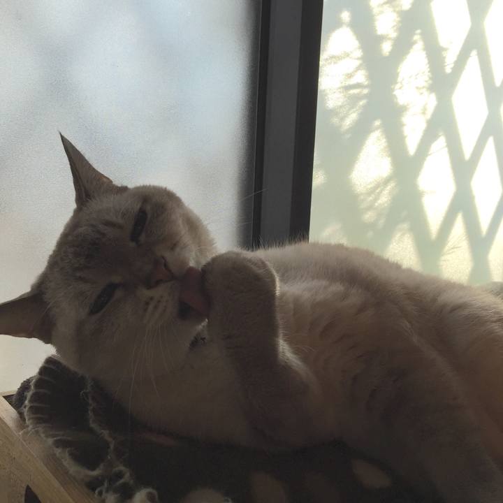 8ec50df9 7937 46d2 9f60 8ffed4068803 1540278591438