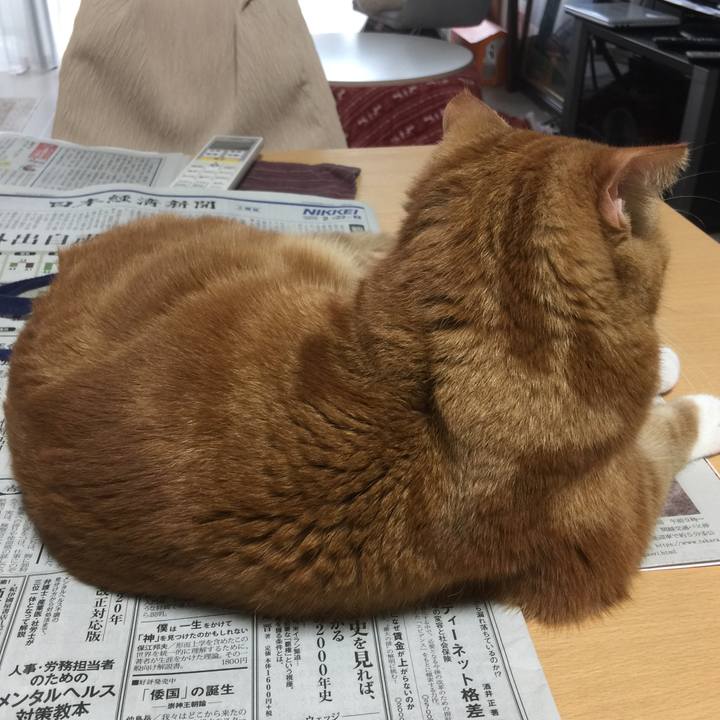 8ec51679 8024 4f67 9401 89274e2f6fb2 1582338679474