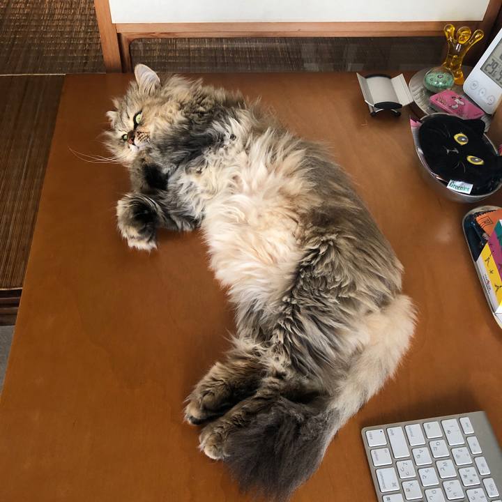 8ec51d3c 20ed 4fe8 8c43 f0d43c96df99 1595237043479