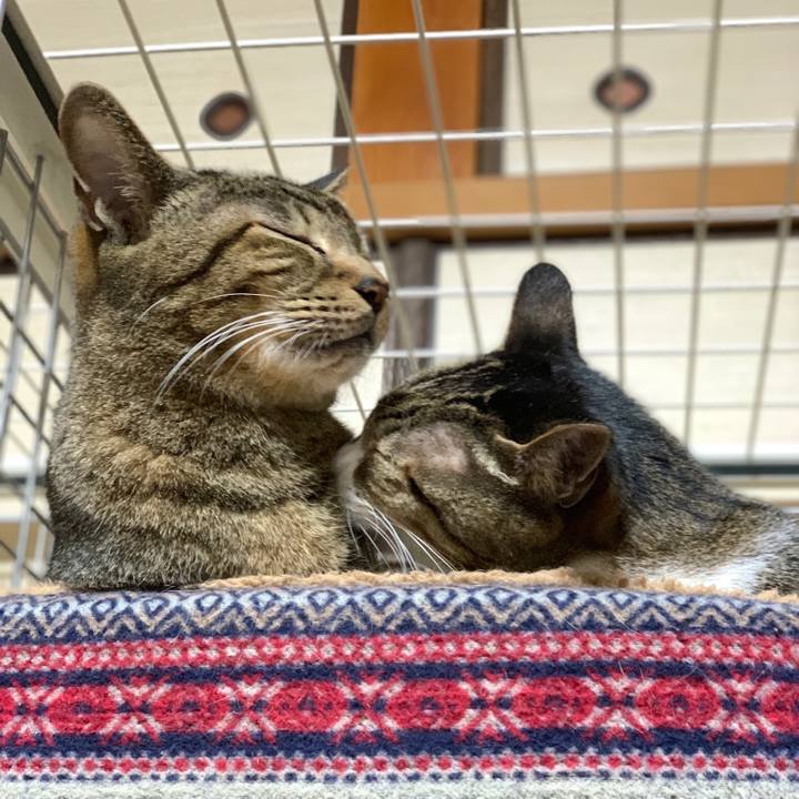 8ec52f92 df14 426f 8375 e66dc731ac34 1547945956801