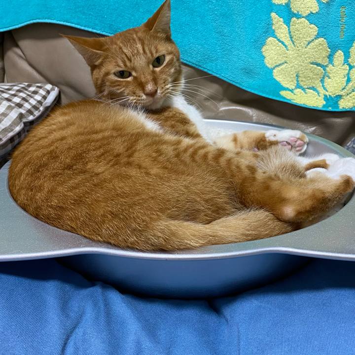 8ec552a4 1153 41c7 92ab a3602d612d8c 1729168500210