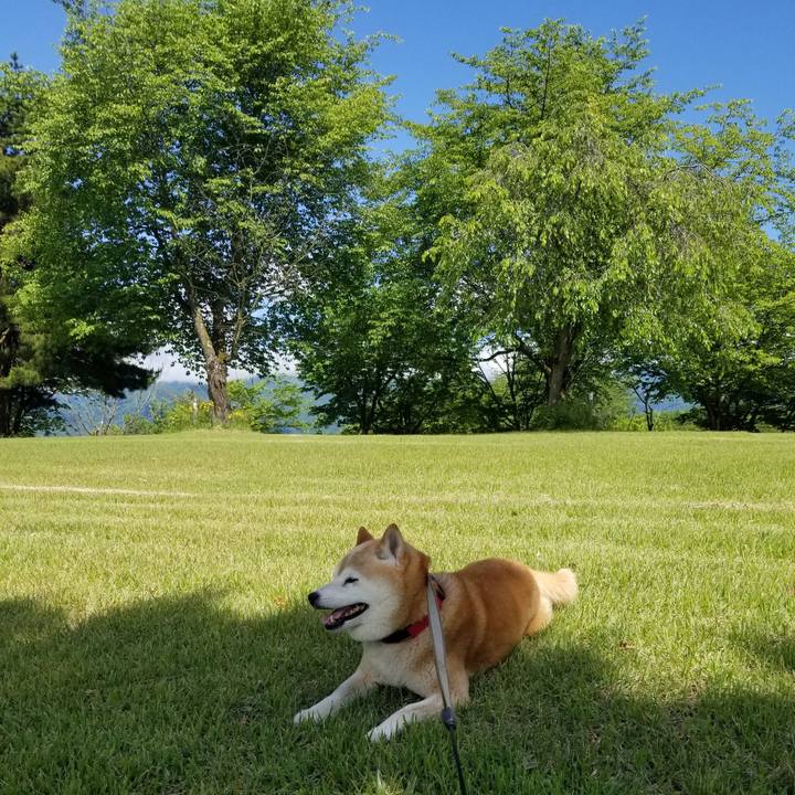 8ec561c7 84e3 4383 a5e1 9445431044f7 1716958066415