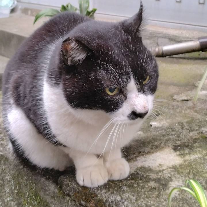 8ec59220 6350 4ae3 9479 07b8211b20ac 1702595976572