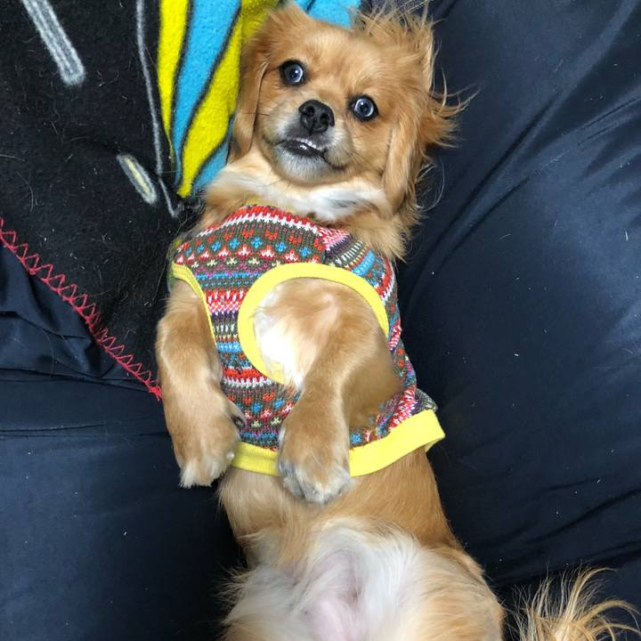 8ec5b968 5266 41f1 819c 20036e010670 1515447296133