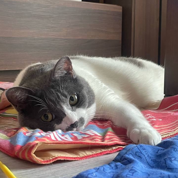 8ec5e65b 5014 4f48 9704 a675269fe5b9 1752540267736