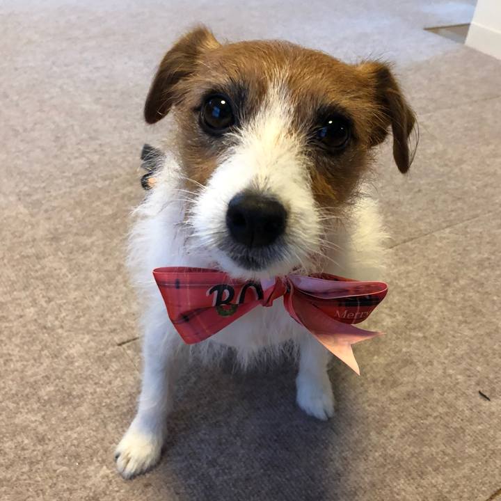 8ec5f54d 975b 4517 91cb addfcd88d5e9 1544397000140