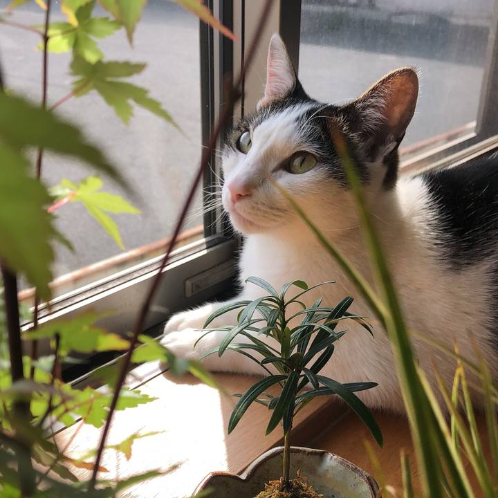 8ec60010 e3b3 41d2 ac4d b590073b8b1a 1620519514891